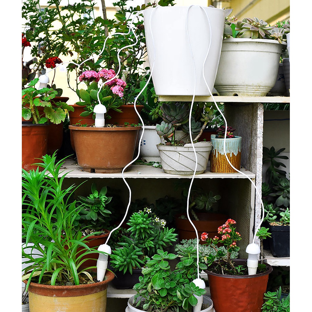 Bộ Dụng Cụ Tưới Nước Tự Động Cho Chậu Cây Cảnh