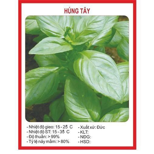 [SALE_1H] Hạt giống Rau Húng tây ( gia vị ngon TỐT Gói 1 gram ) F1