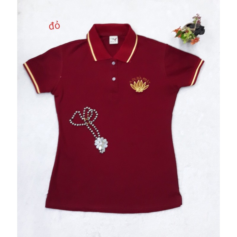 Áo thun cá sấu xịn