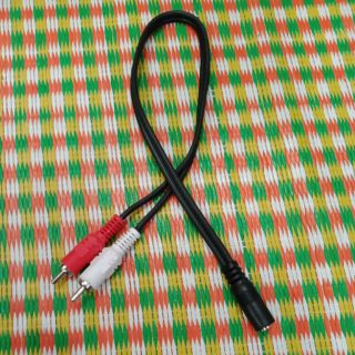 jack chờ chuyển 3.5mm ra 2 đầu hoa sen