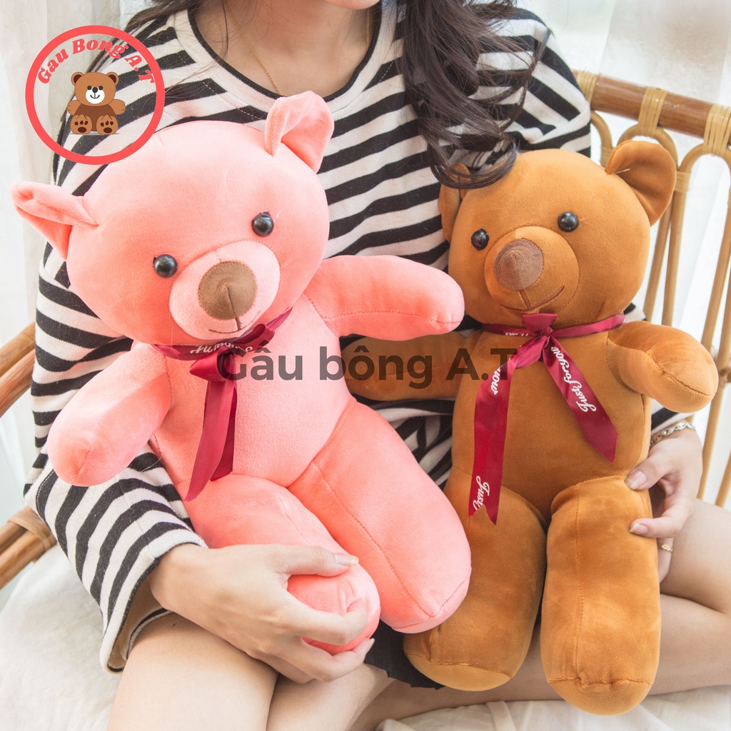 [HOT] Gấu Bông Teddy - Thú Nhồi Bông Teddy Màu Nâu, Hồng size 40cm