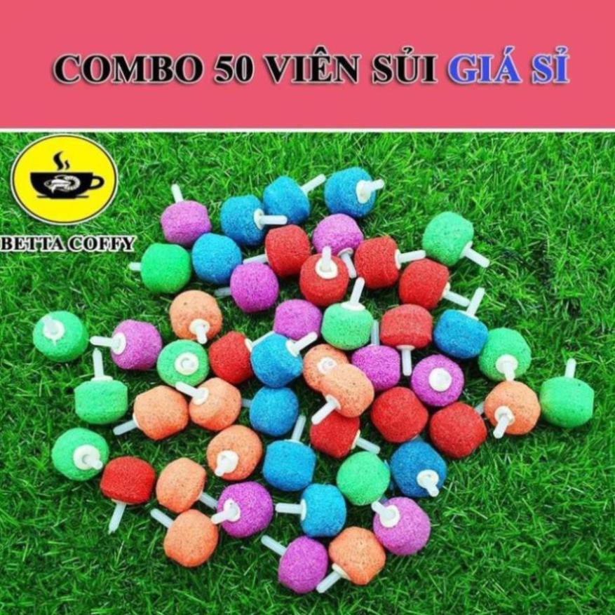 ĐỒ VẬT TRANG TRÍ HỒ CÁ 29K - ĐỢT BETTA YOUTUBE 29k