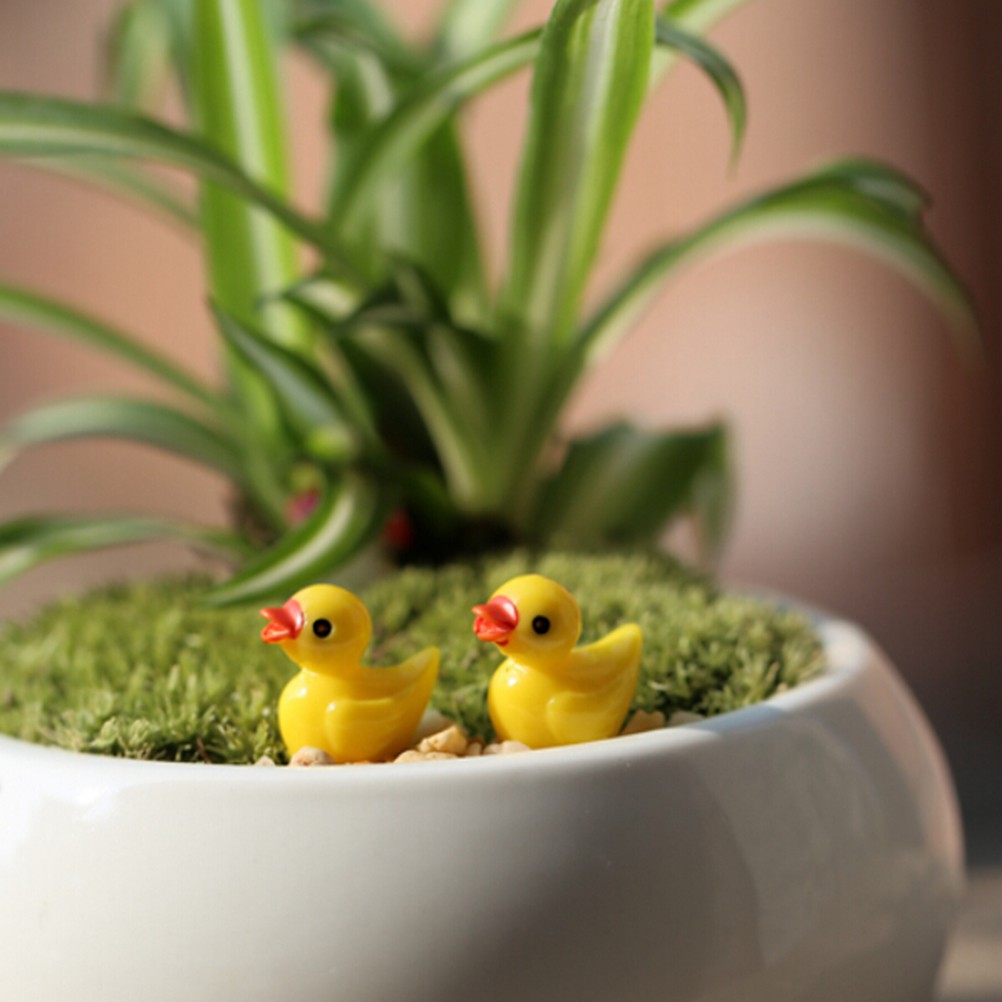 Set 10 Chú Vịt Vàng Bằng Nhựa Resin Trang Trí Cây Bonsai / Nhà Búp Bê