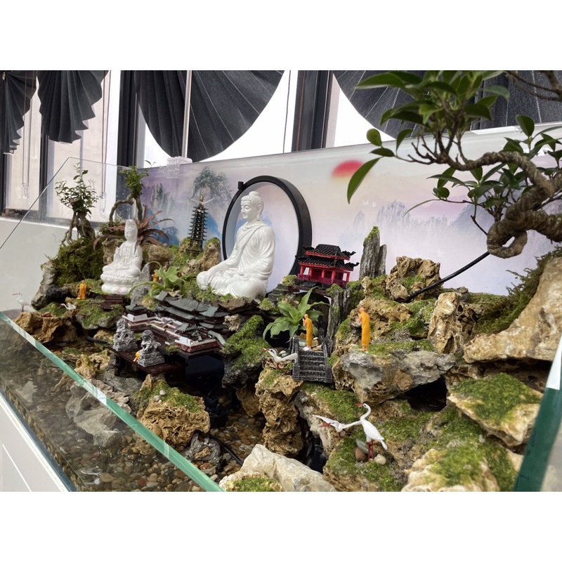 Hồ bán cạn tiểu cảnh CEO phong cách Kelsey Mặt Trời Vàng siêu độc đáo