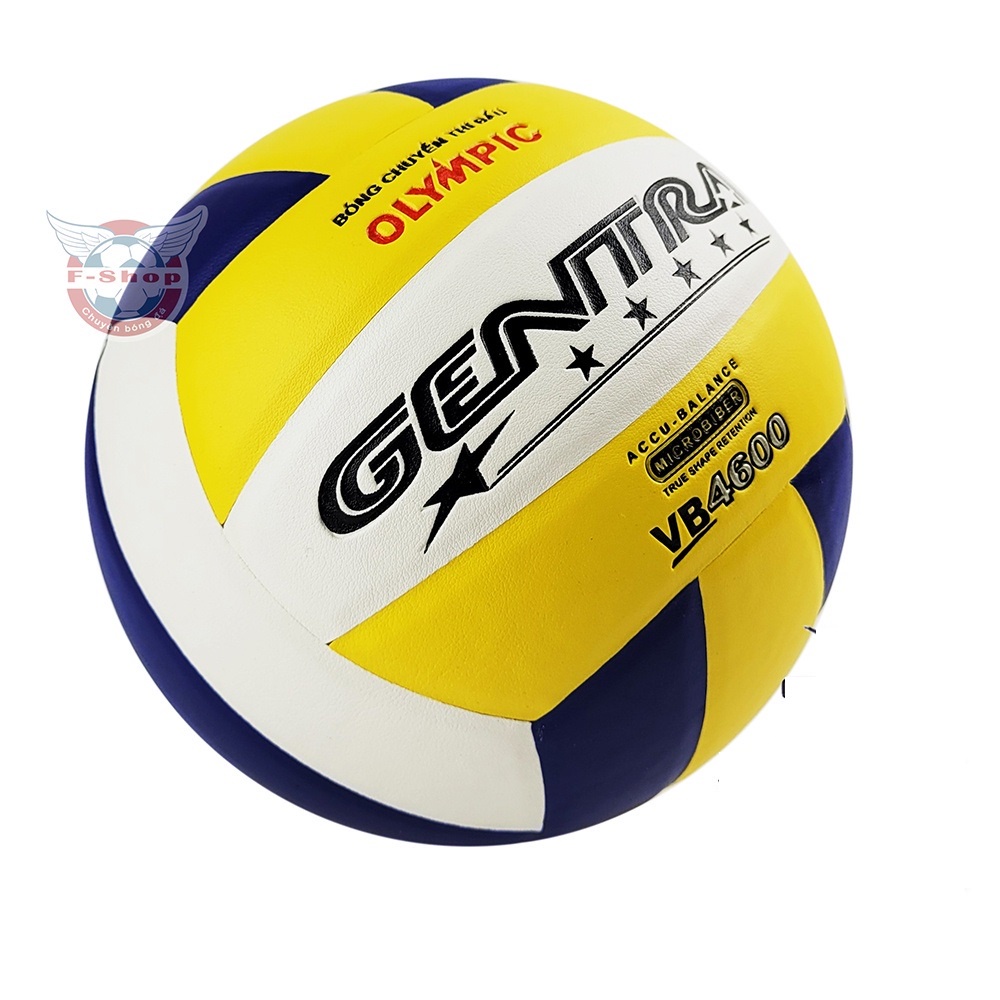 Bóng Chuyền Cao Su - Tặng Lưới Đựng Bóng EMA