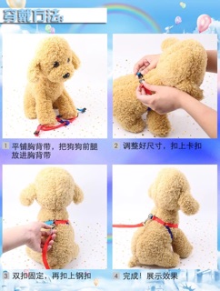 Dây dắt yếm cầu vồng cho chó mèo