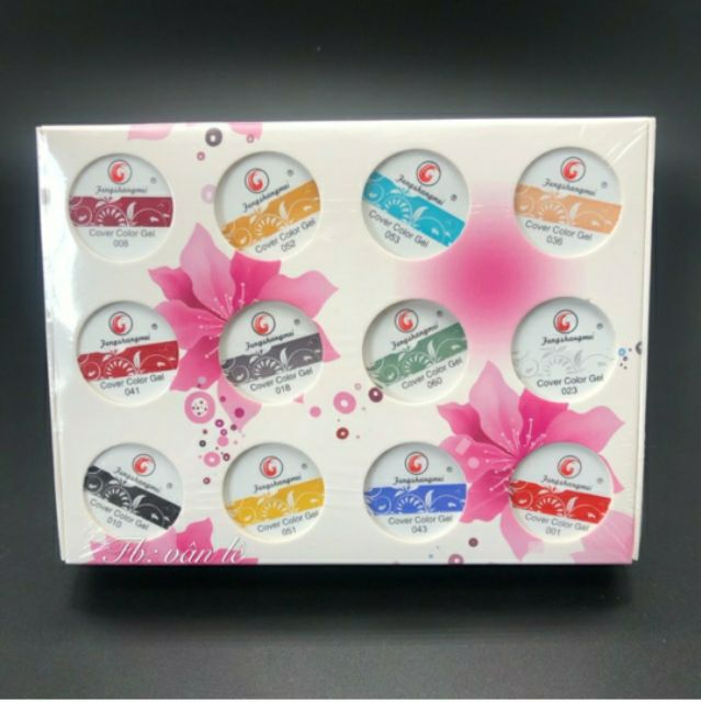 Set Gel Vẽ Fengshangmei 12 Màu