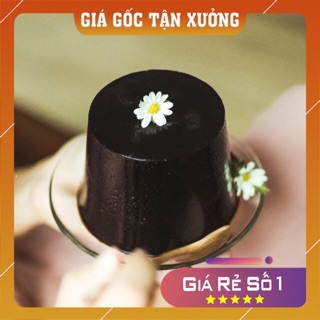 [NGON HƠN ] Lá thạch đen cây sương sáo loại 1kg chuẩn thạch nương