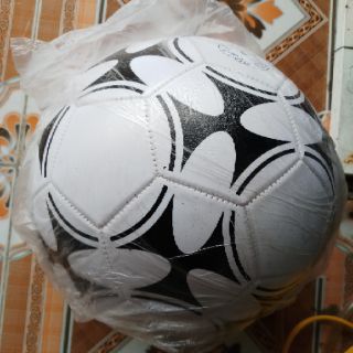 Banh bóng đá hơi da