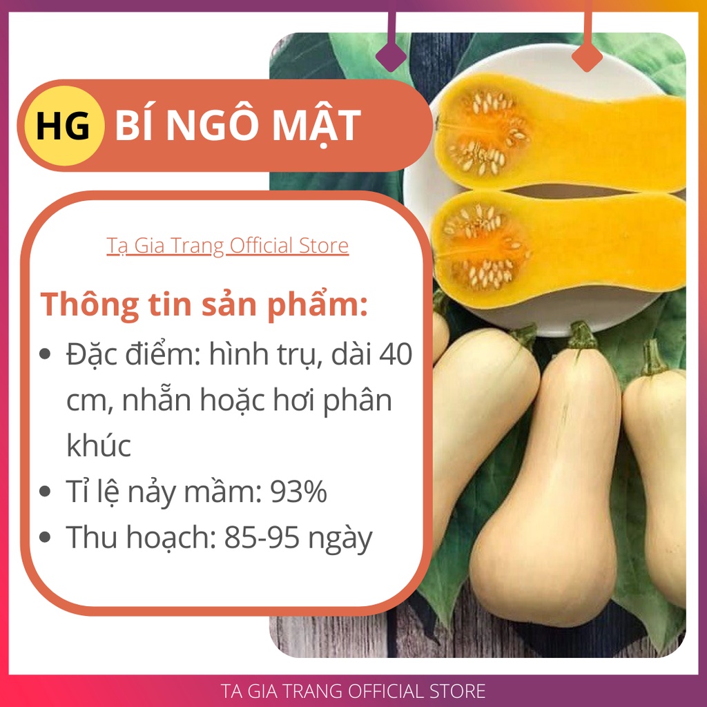 Hạt giống bí ngô mật butter F1 - Gói 10 hạt