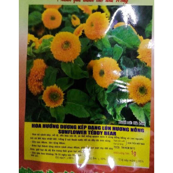 HẠT GIỐNG HOA HƯỚNG DƯƠNG KÉP THÂN LÙN - GÓI 1 GRAM