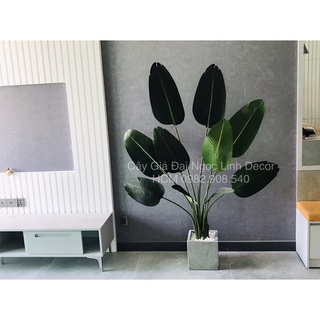 Cây chuối giả 1,6m