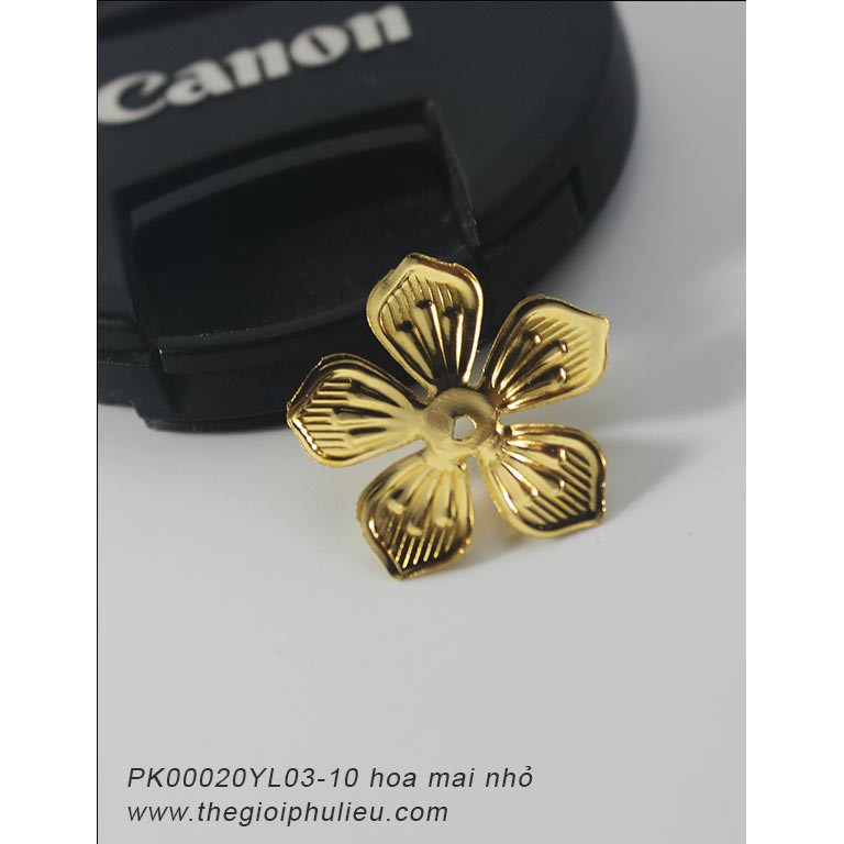 PK00020YL03-10 hoa mai nhỏ