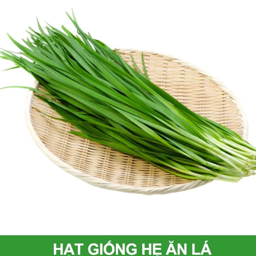 Hạt Giống Hẹ Cao Sản (2g)