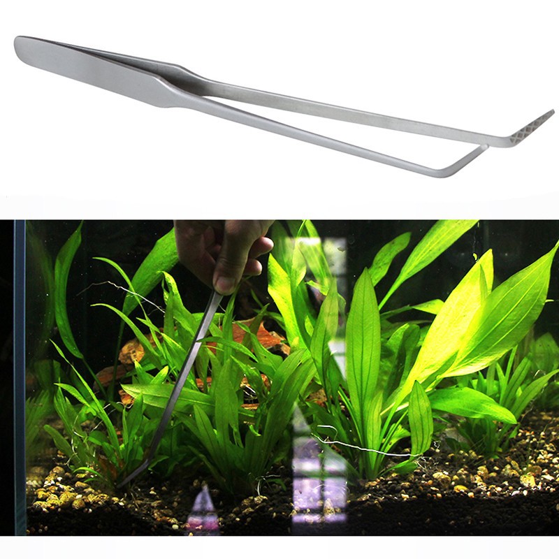 Nhíp Innox Mũi Cong Trồng Cây Thủy Sinh (28cm)