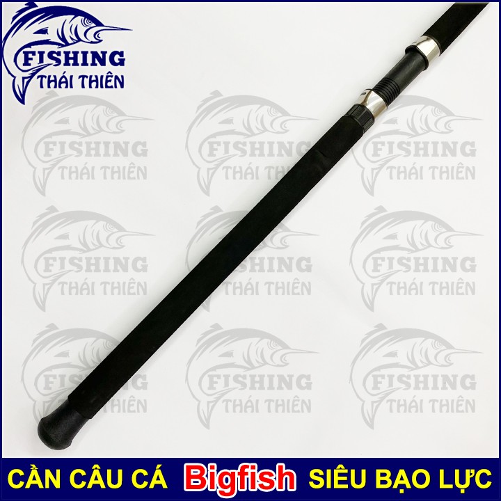 Cần câu cá Bigfish 2m4 cần rỗng chuyên câu bạo lực