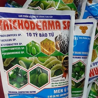 200GRAM MEN Ủ TRICHODERMA - PHÒNG NẤM BỆNH CHO CÂY