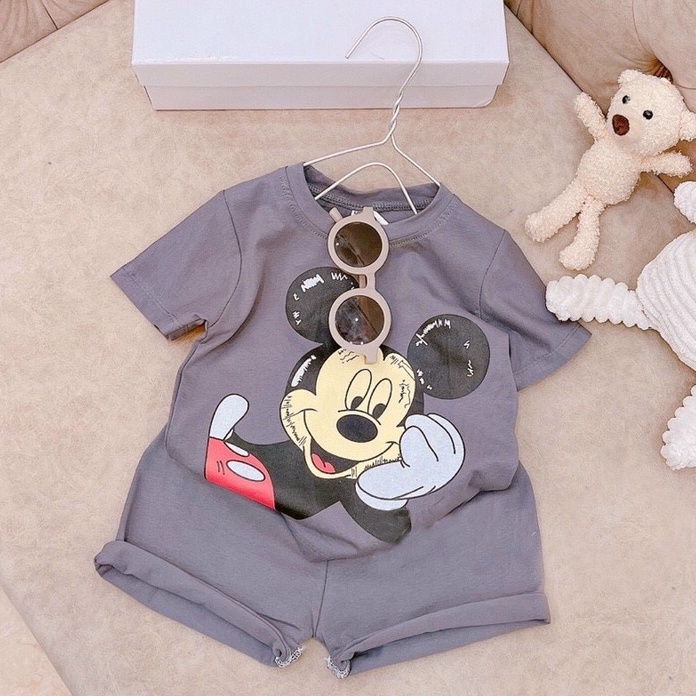 BỘ MICKEY 2 MÀU CHO BÉ 8-18Kg