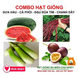 Combo 4 Loại Hạt Giống Dưa Hấu, Cà Phổi, Chanh Dây, Đậu Đũa Tím