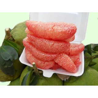 Bưởi da xanh cây chiếc