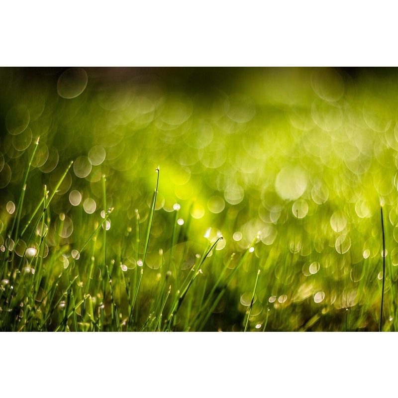 Ống kính MF Helios 77M4 50/1.8