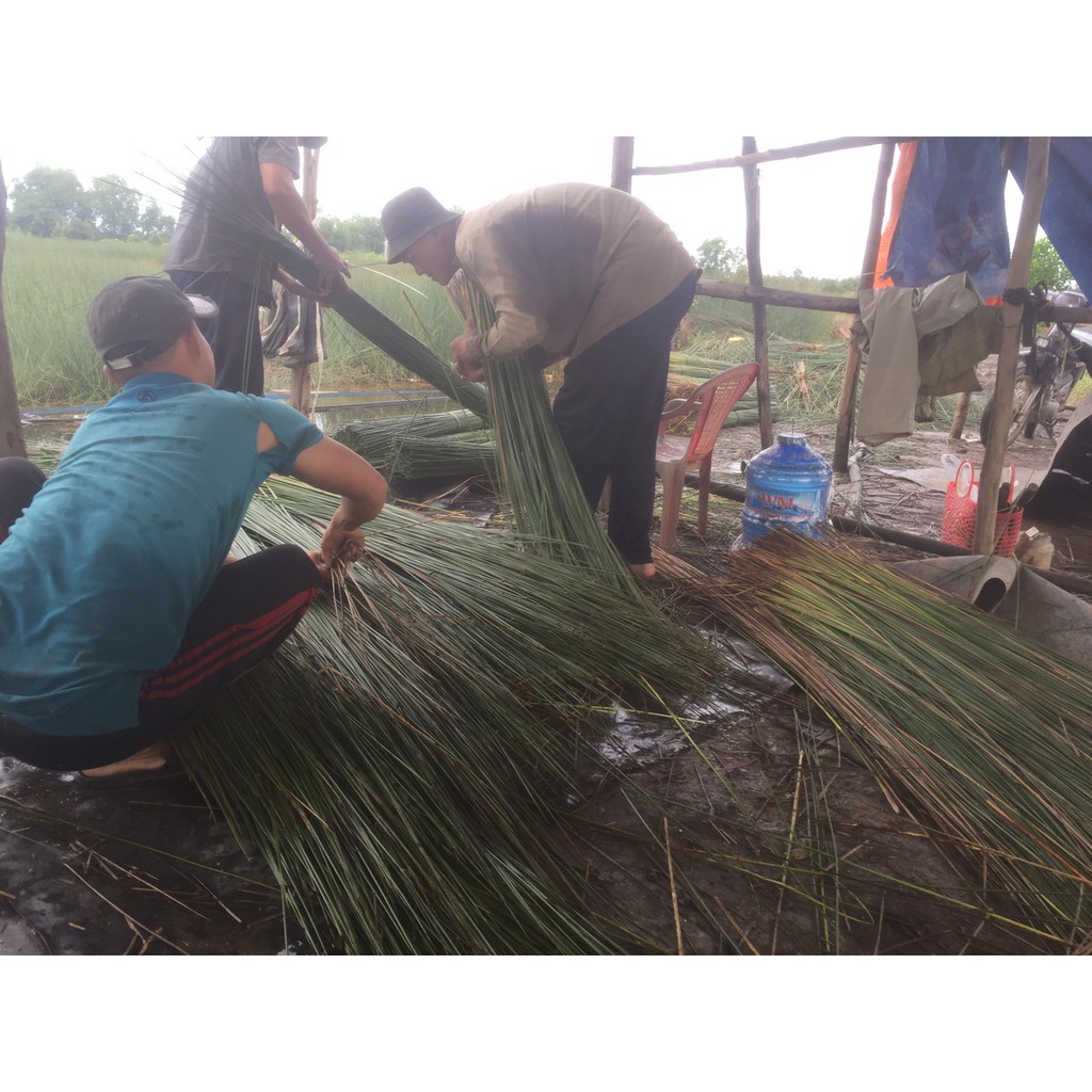 Ông hút cỏ bàng/tre khắc Laze (quà tặng) xuất khẩu Châu Âu (combo 500 ống) Love natural để được 12 tháng Bamboo straw