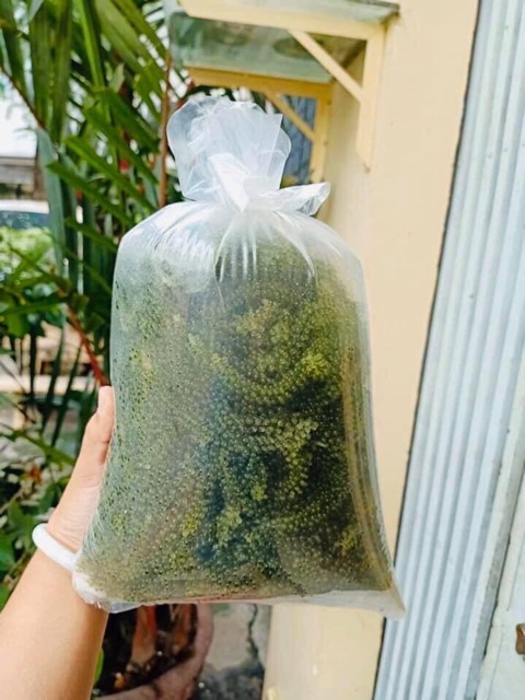 Rong Nho Tươi 500gr 50k