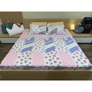 ga gối cotton poly chun trần bông