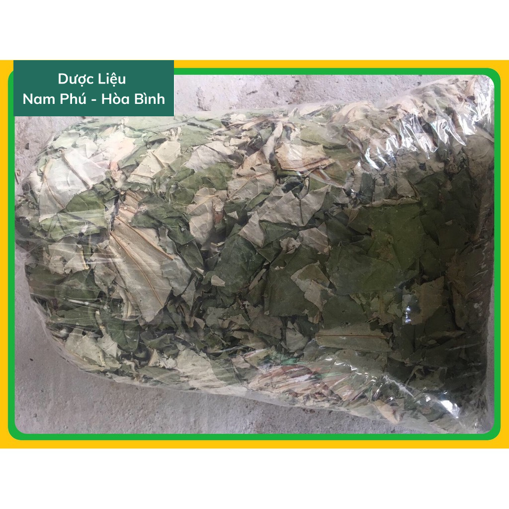 1Kg Lá Sen tiêu mỡ giảm cân giá Sỉ hàng xanh sạch thơm.