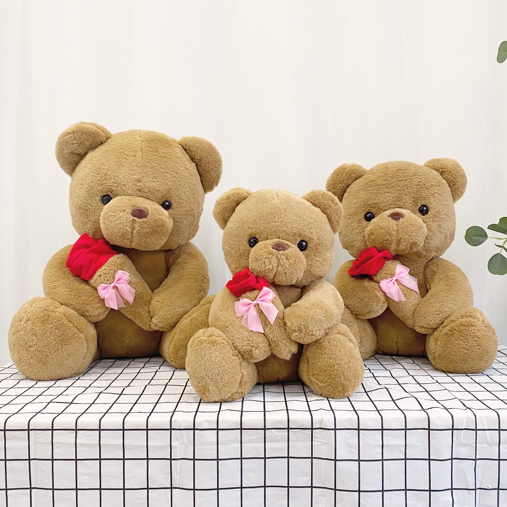 Gấu Bông Teddy Ôm Hoa Đáng Yêu Quà Tặng Dễ Thương Gấu Bông Online