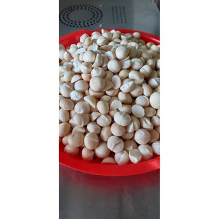 Nhân hạt macca nhà làm hạt mới ngon