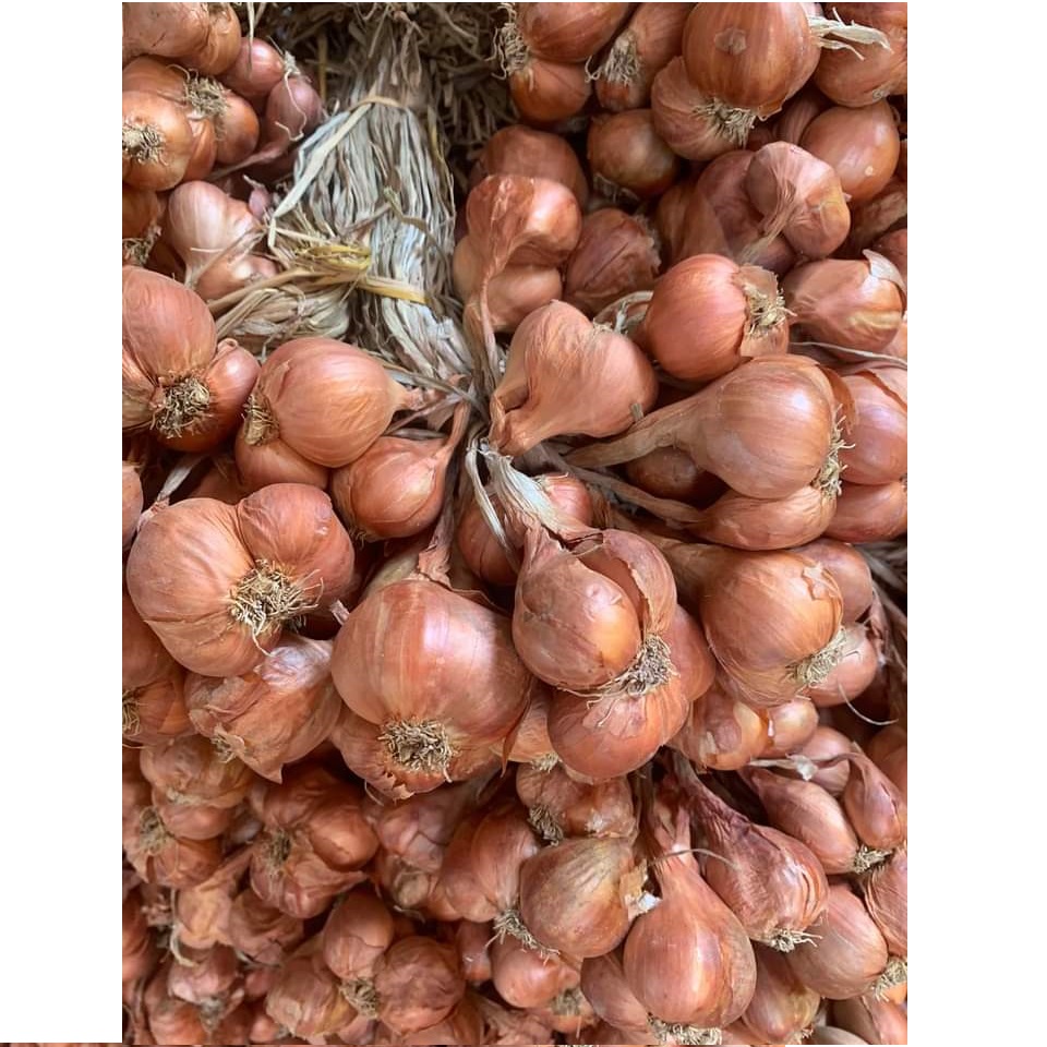 Hành ta khô 2kg, Hành bắc Hải Dương, loại 1 đã chọn lọc