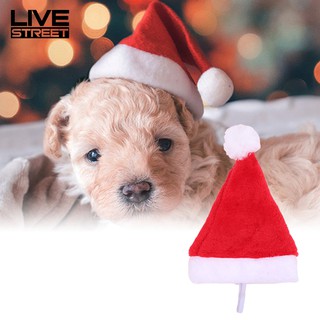 Nón Noel xinh xắn cho thú cưng