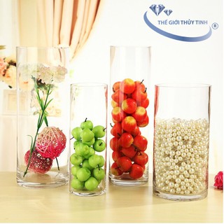 Lọ Hoa Thủy Tinh Trang Trí D10CM *H40CM