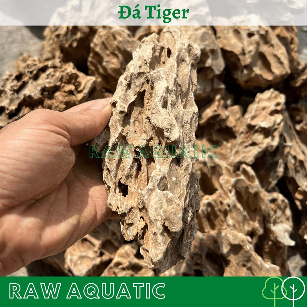 Đá Tiger Trang Trí, Setup Bể Cá Cảnh, Bể Thủy Sinh