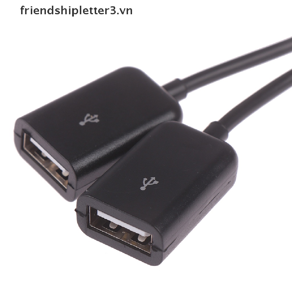 Bộ Chia 2 Cổng Micro usb type c