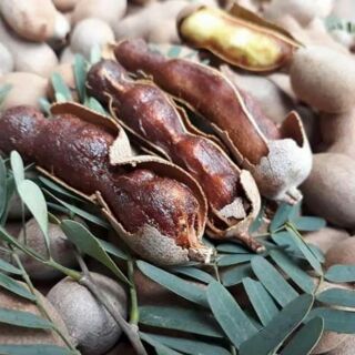 Me ngọt sấy khô
