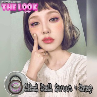 CONTACT LENS MÀU GRAY - XÁM VIỀN NÂU CHOCO - GIÃN NHẸ - TỰ NHIÊN - CÓ ĐỘ