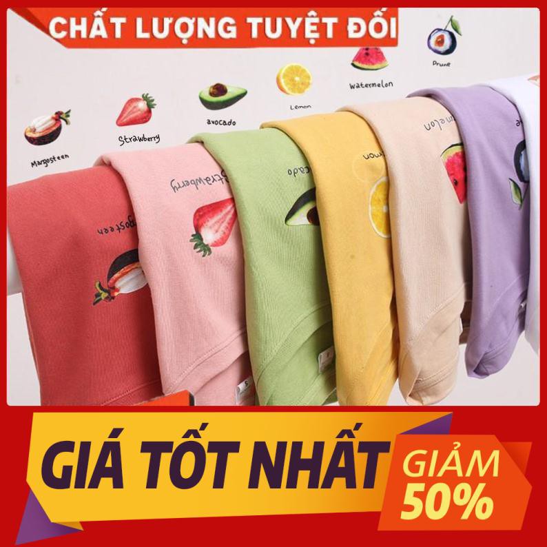 [HÀNG CÓ SẴN] - Áo thun nữ trơn hoa quả mùa hè hàn quốc 7 màu vintage