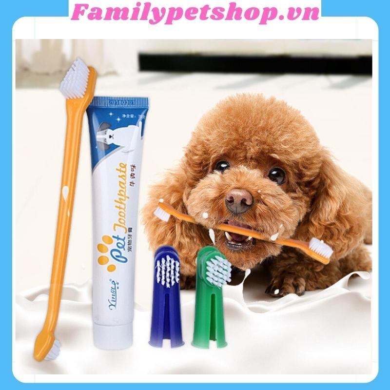 Bàn chải và kem đánh răng cho chó mèo thú cưng-familypetshop.vn