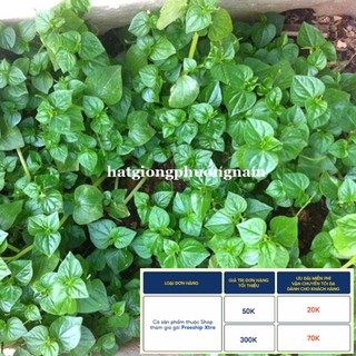 0,5GR - HẠT GIỐNG RAU CÀNG CUA