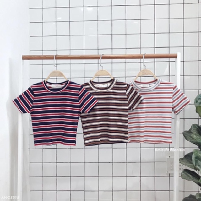 Croptop Miều🥙