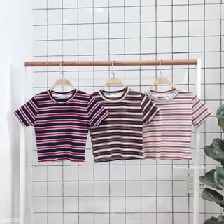 Croptop Miều🥙