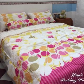 Bộ Chăn Drap Chester Studio Comforter Size 1M8 Mẫu 3