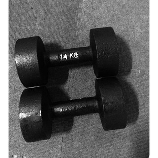 Bộ 2 quả tạ gang 14kg nguyên khối đủ cân giá rẻ