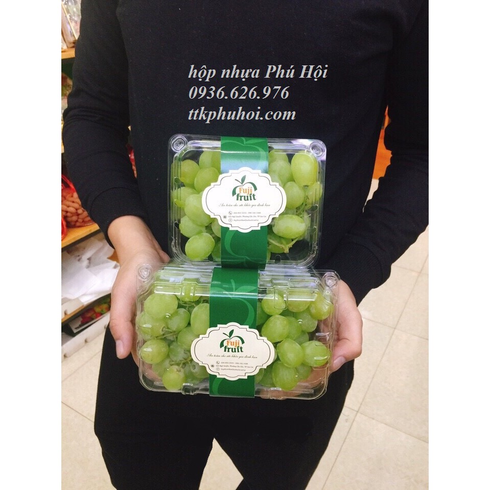 50 Hộp đựng trái cây 500g (0,5kg) | BigBuy360 - bigbuy360.vn