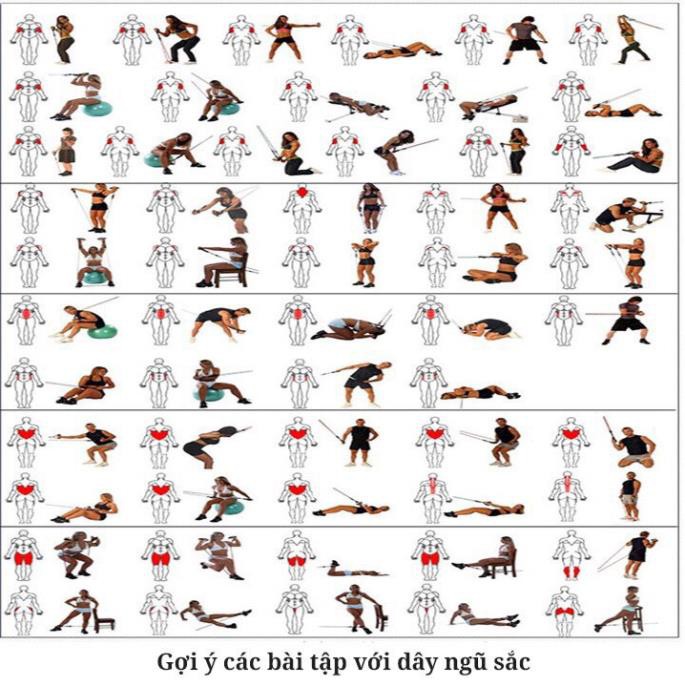 Bộ 5 Dây Ngũ Sắc Đàn Hồi Kháng Lực Tập Thể Lực , Gym , Fitness , Yoga