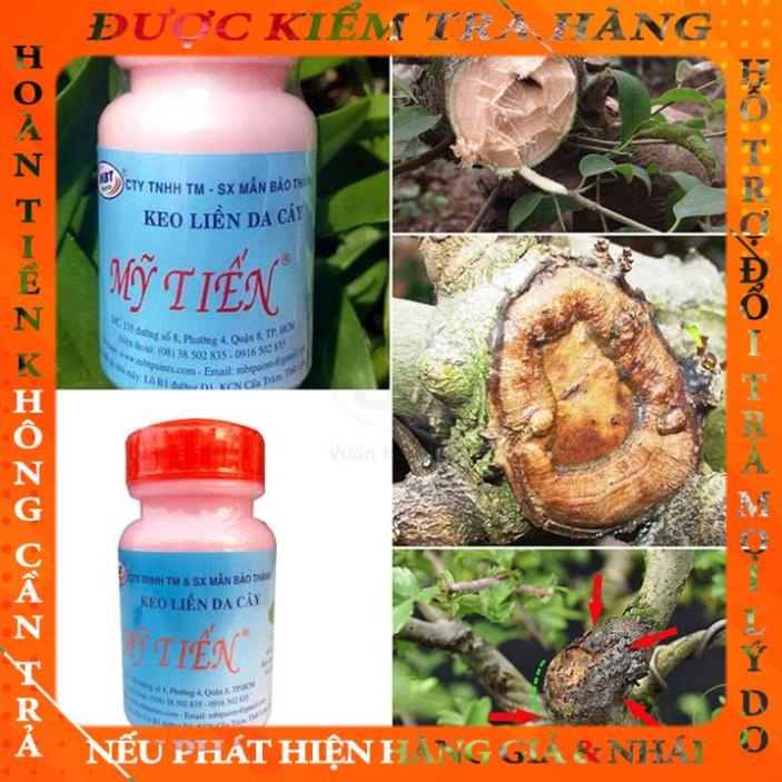 Keo liền da cây - Keo liền sẹo Mỹ Tiến lọ 100g tranbich