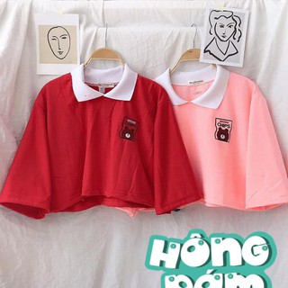 [Free ship toàn quốc] - Croptop HÌNH THÊU gấu con (Xinh chạy đâu cho thoát)
