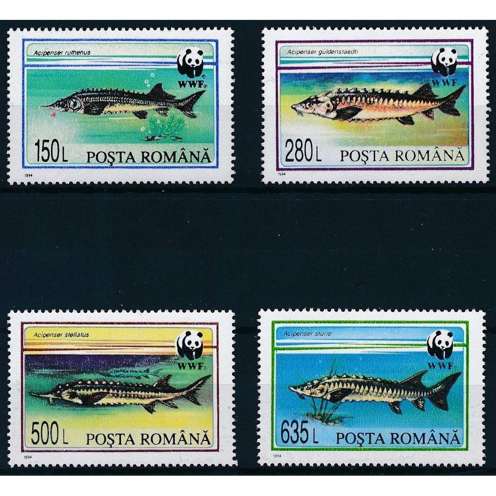Tem sưu tập Tem Romania Cá 1994 ( 4 tem)
